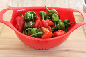 wash-hot-peppers